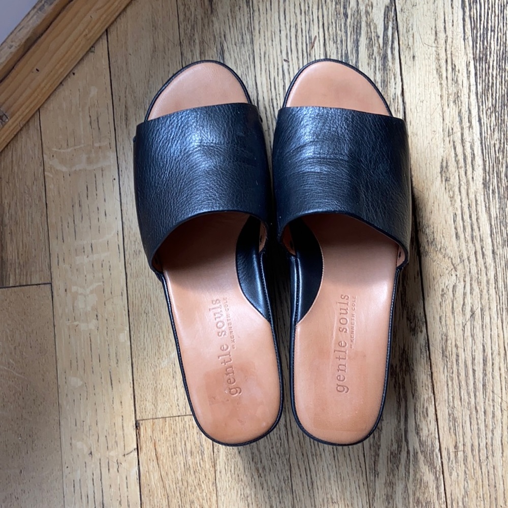 Barely worn Gentle Souls wedge sandals